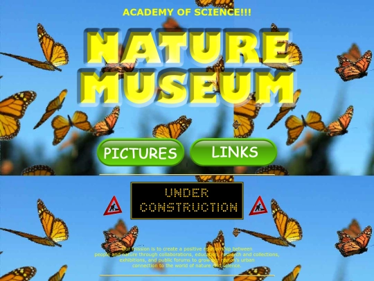 home screenshot