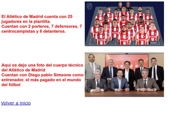 final/plantilla screenshot