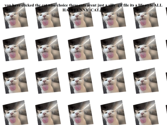 cat screenshot