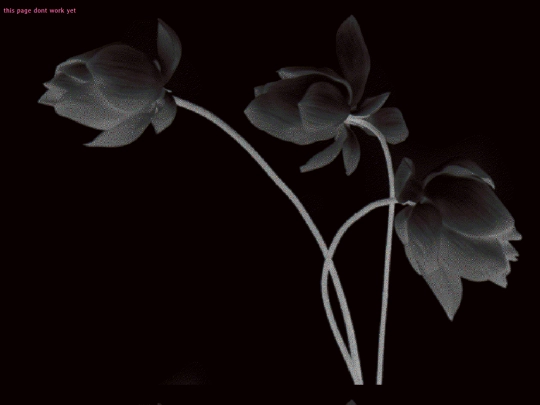 crafts screenshot