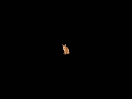 Oracular+Spectacular/GLtest screenshot