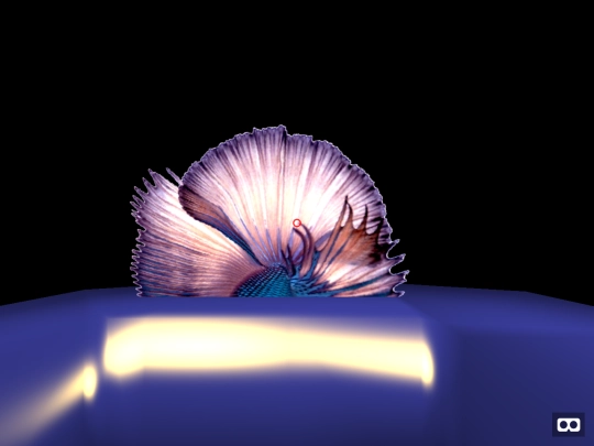 VR_webStuff/room+12/mobleTeleport screenshot