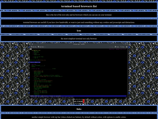 article-terminal-browsers screenshot