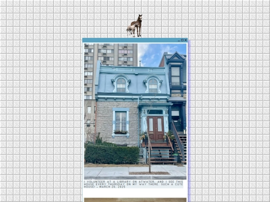 pictures screenshot