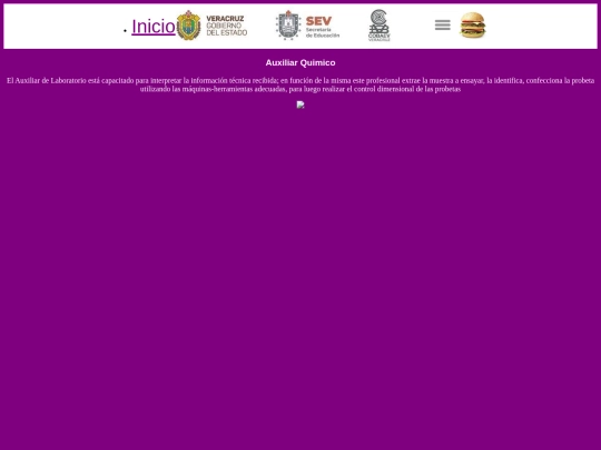 proyecto final capa gerzon/403 screenshot