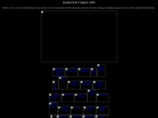 Fekting/koiebilder screenshot