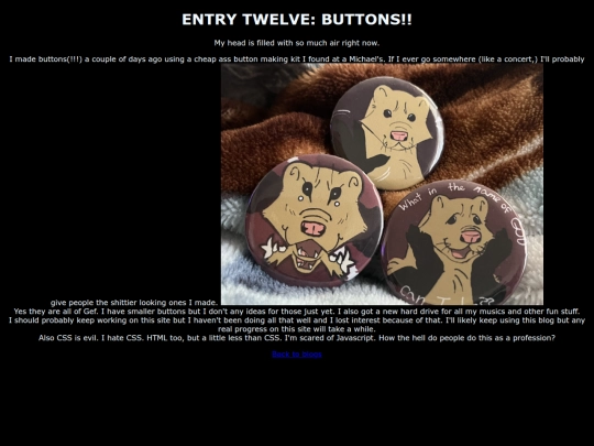 blorgs/Entry12 screenshot