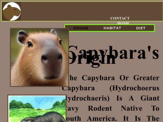 Project1/CapyAbout screenshot