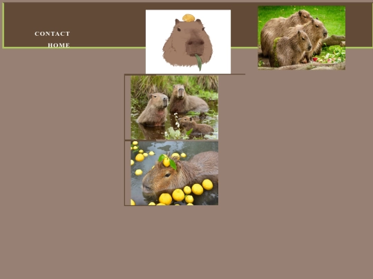 Project1/CapyPage1 screenshot