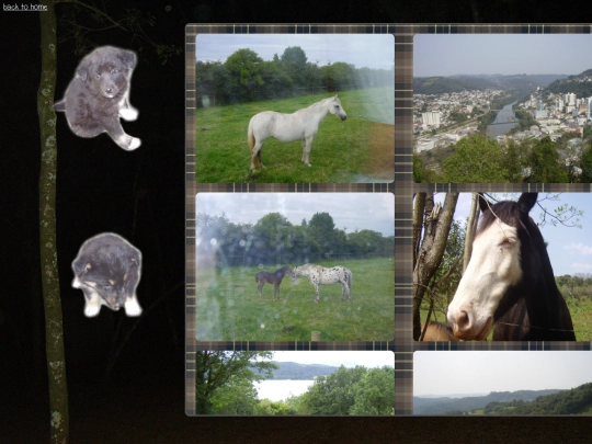 photogallery screenshot
