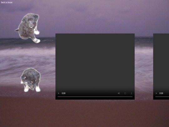 videogallery screenshot