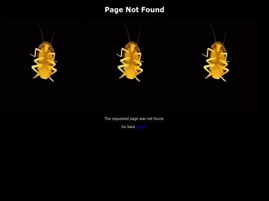 not_found screenshot