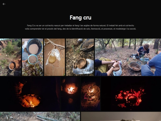 treballs-amb-fang/fang-cru screenshot