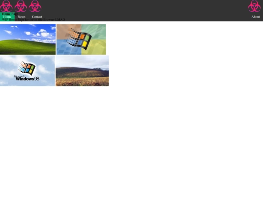 browser screenshot