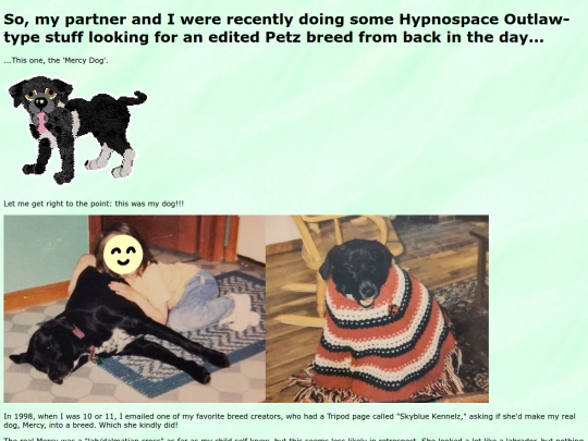 themercydog screenshot
