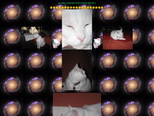 home/h111/catt screenshot