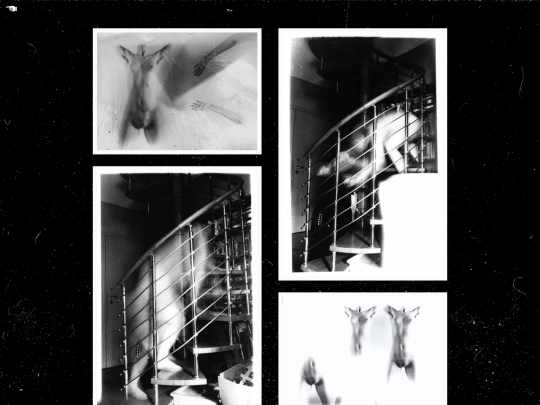 prints screenshot