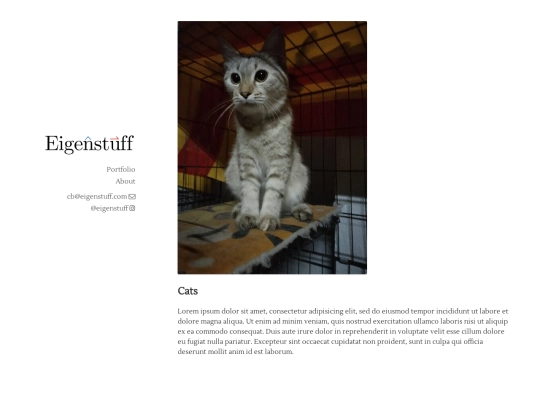 cats screenshot