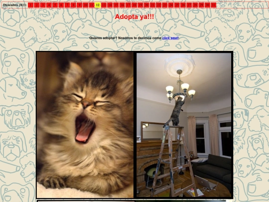 paginacongif screenshot