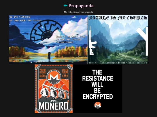 propoganda screenshot