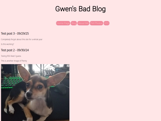 blog screenshot