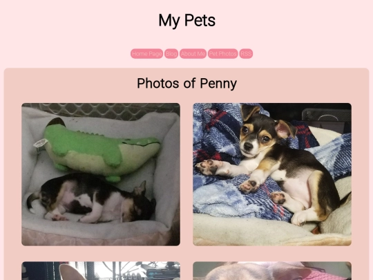 gallery screenshot