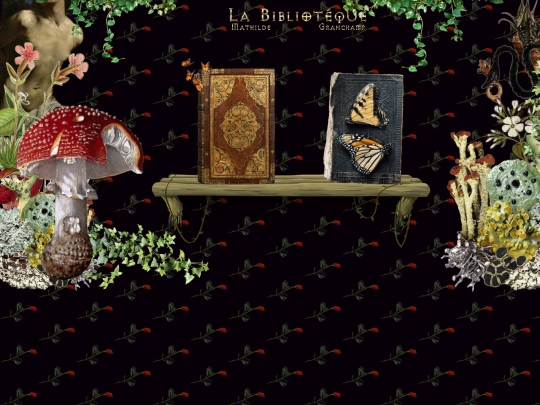archive2 screenshot