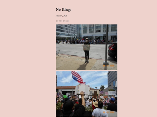 posts/2025-06-14-No-Kings screenshot