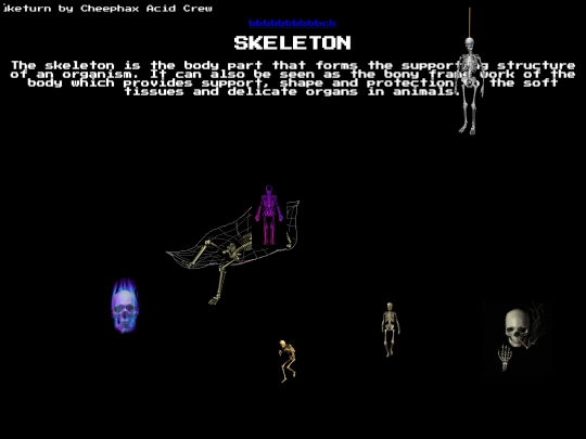 skeleton screenshot