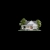 House avatar