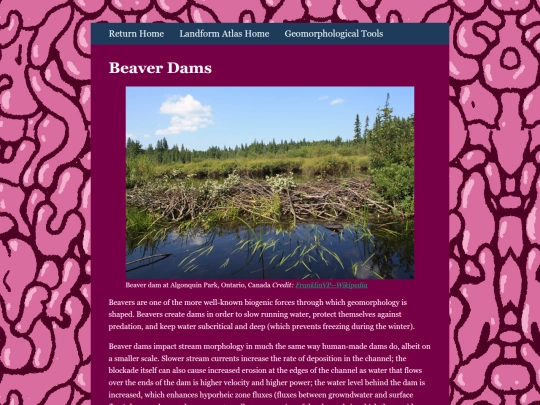Geomorphology/beaver screenshot