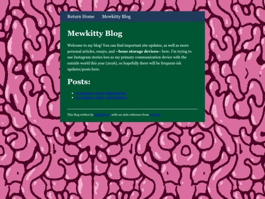 blog/blog screenshot
