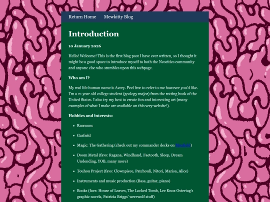 blog/post1 screenshot