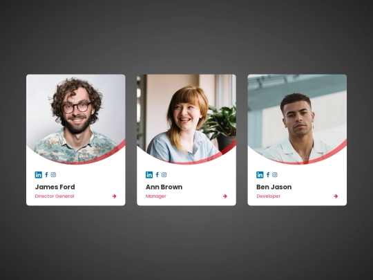 About Executive Leadership Team Page screenshot