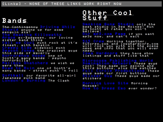 flinks screenshot
