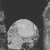fok.neocities.org avatar