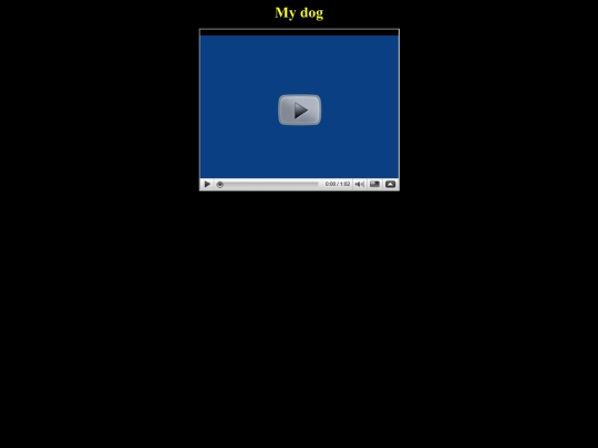 dog screenshot