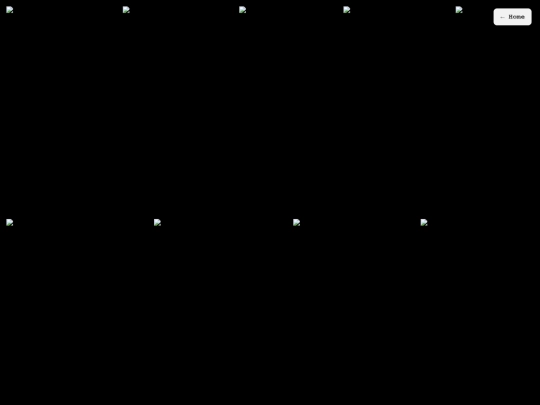 gallery screenshot