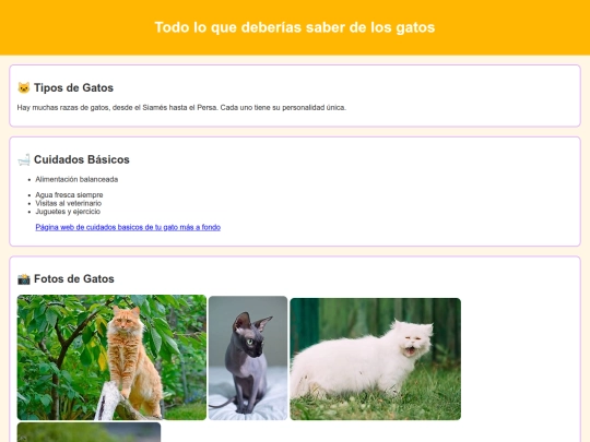 paginaweb screenshot