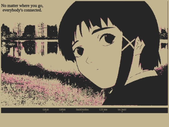 home/programming screenshot