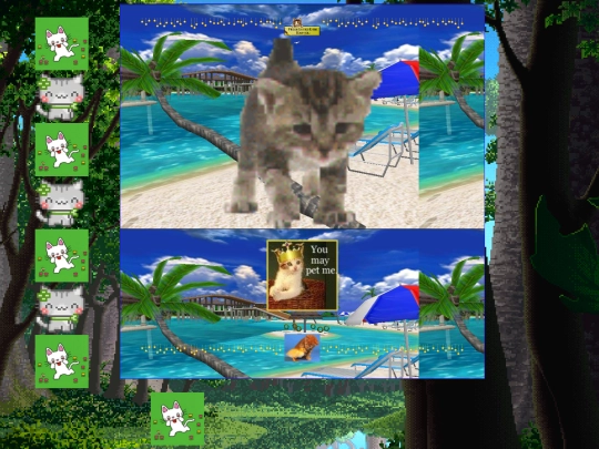 petkitty screenshot