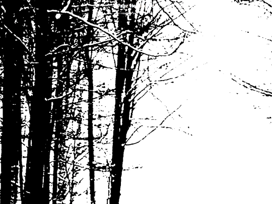 Portfolio/blankproject screenshot
