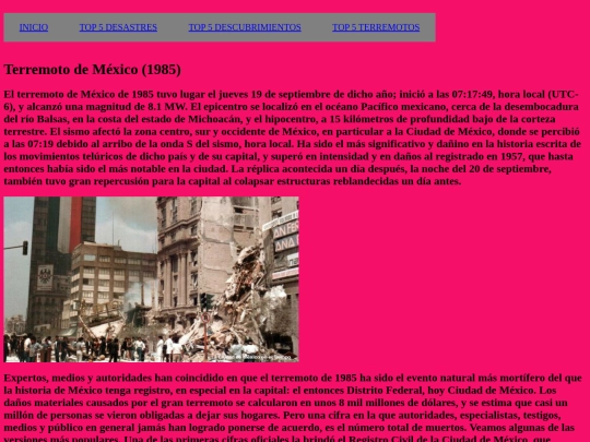 pagina web de S y J screenshot