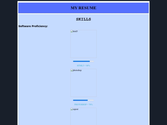 skills screenshot
