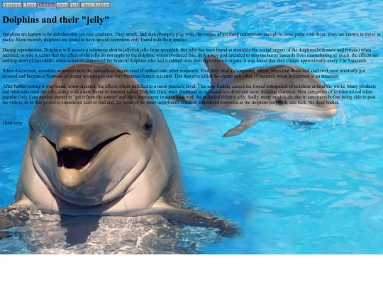 dolphin screenshot