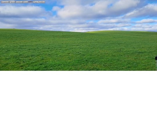 field screenshot