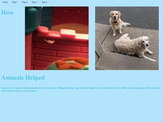 page3 screenshot