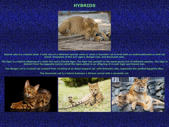 hybrids screenshot