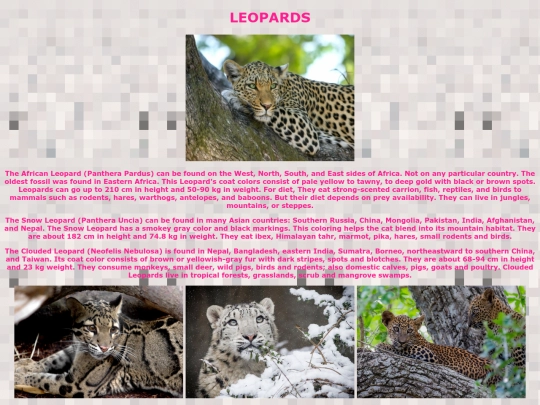 leopard screenshot