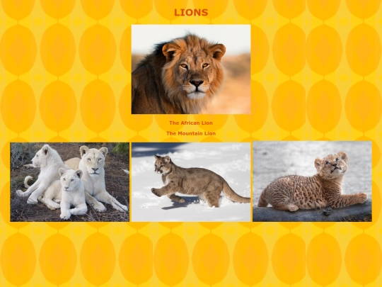 lion screenshot